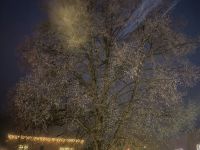 8CBC8A75-10DA-4BA7-AACE-BD7F0AEBBF09.jpeg