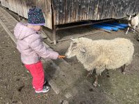 IMG_0364.jpeg