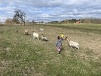 IMG_0369.jpeg