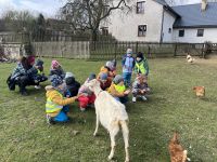 IMG_0357.jpeg