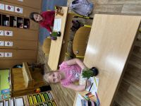 IMG_5275.jpeg