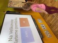 IMG_5279.jpeg