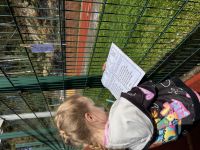 IMG_5291.jpeg