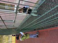 IMG_5294.jpeg