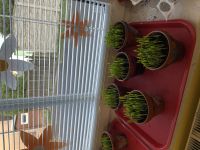 IMG_5385 (1).jpeg