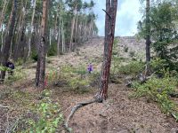 přespoláček (19).jpg